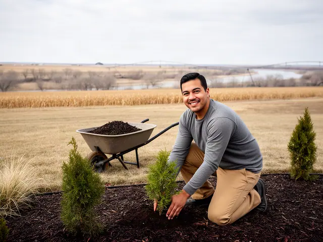 Smiling landscaper planting a young juniper in fresh mulch beside a wheelbarrow, river valley behind